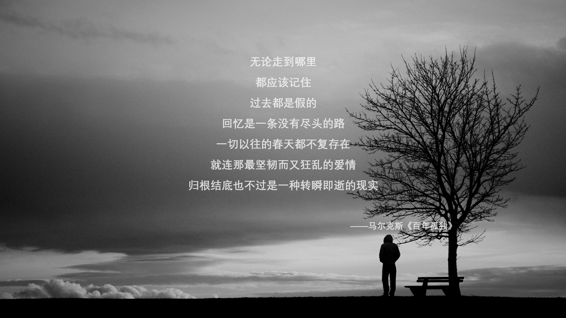 “新加坡游泳池热浪袭来，世界游泳锦标赛赛事精彩纷呈”