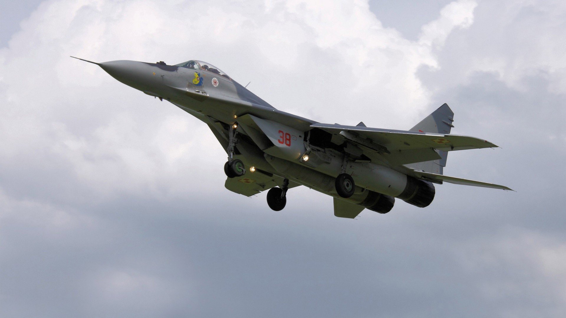 自由搏击比赛强调规则认知与赛后反思,自由搏击比赛规则回合