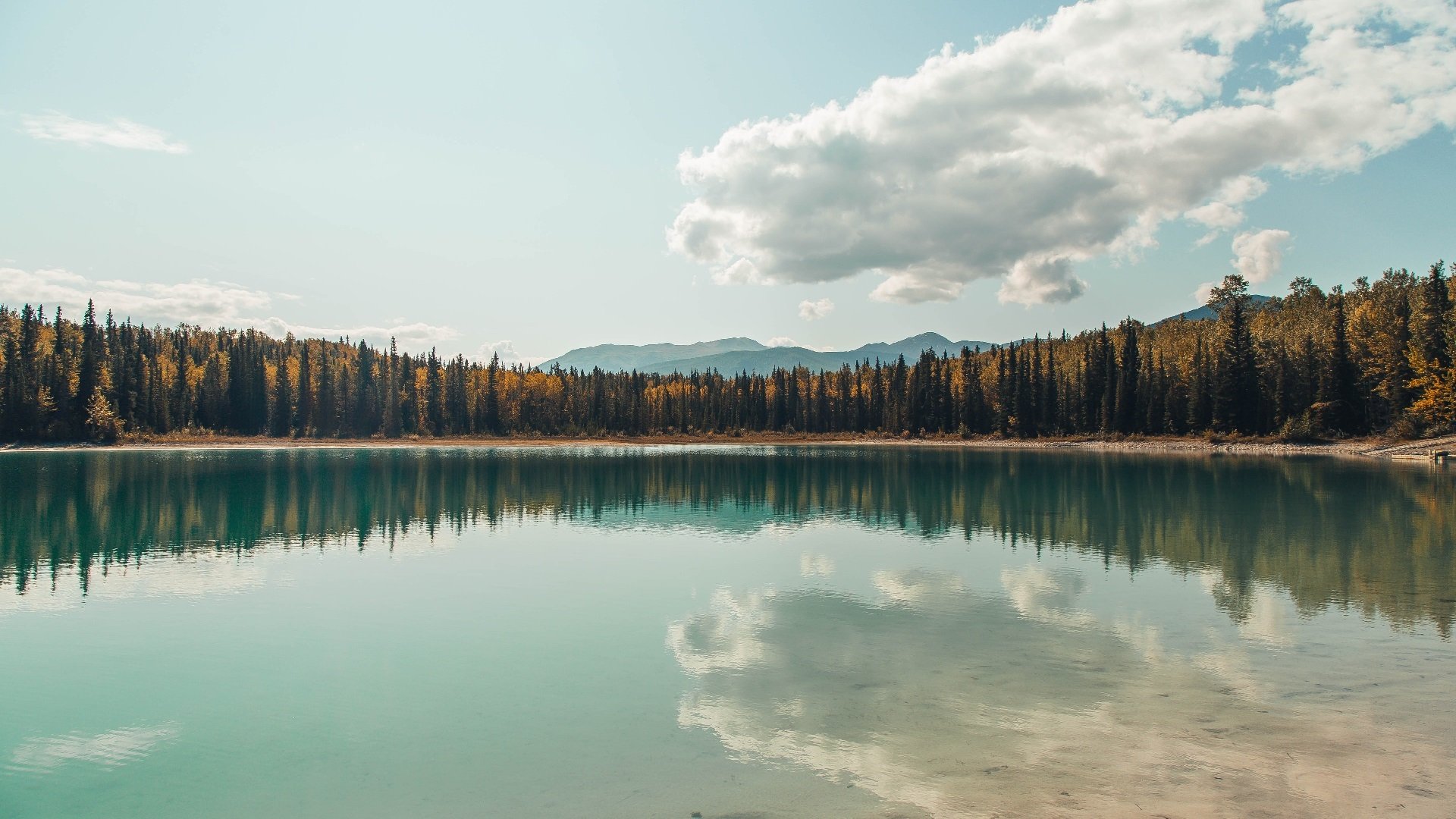 “帕布罗·马特拉:阿根廷美洲狮队的背后力量,未来更多突破”