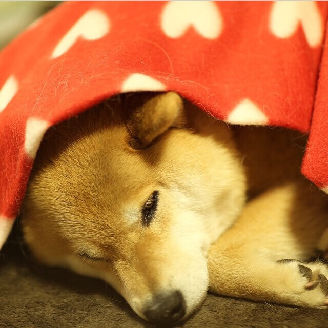 万乐天赛后感谢团队支持,万乐天赛后感谢团队支持怎么说