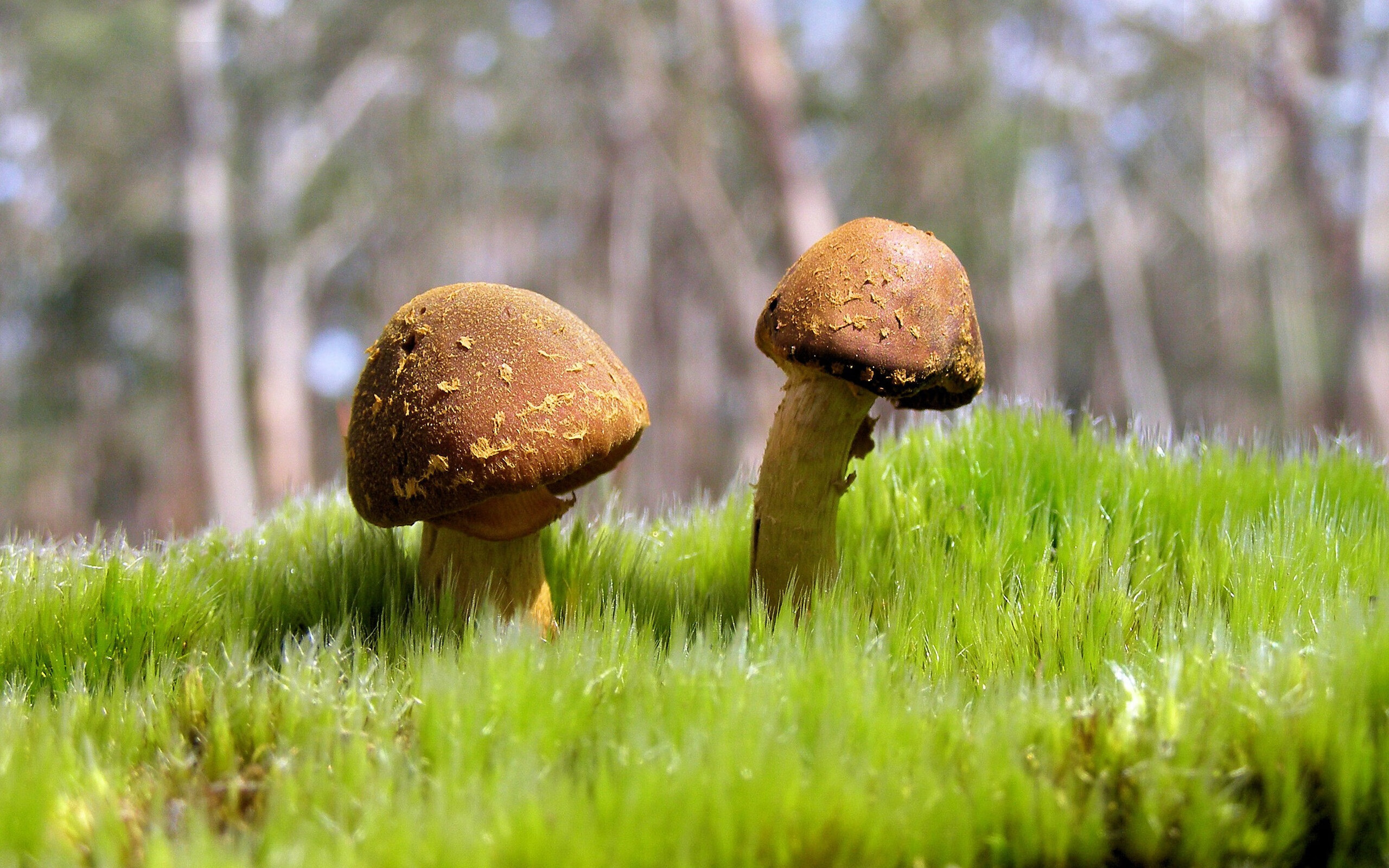 奥康纳通过精准长传撕开对方防线,带来制胜机会