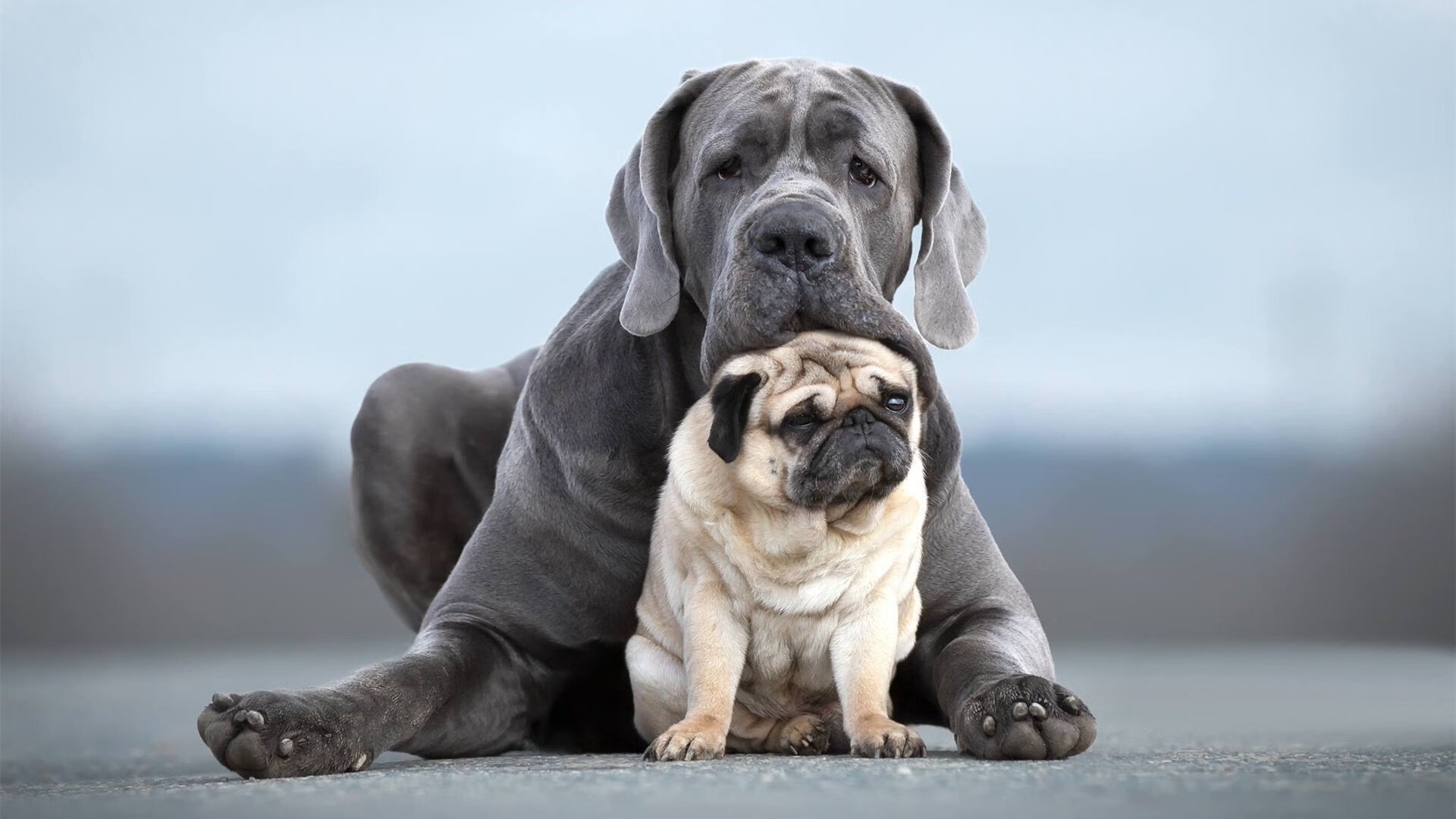 数据化分析助力动作优化与节奏控制，数据的优化