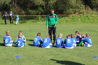 JIUYOU GAMING-欧洲杯逆转奇迹：战术配合与个人能力的完美呈现，欧洲杯逆天进球