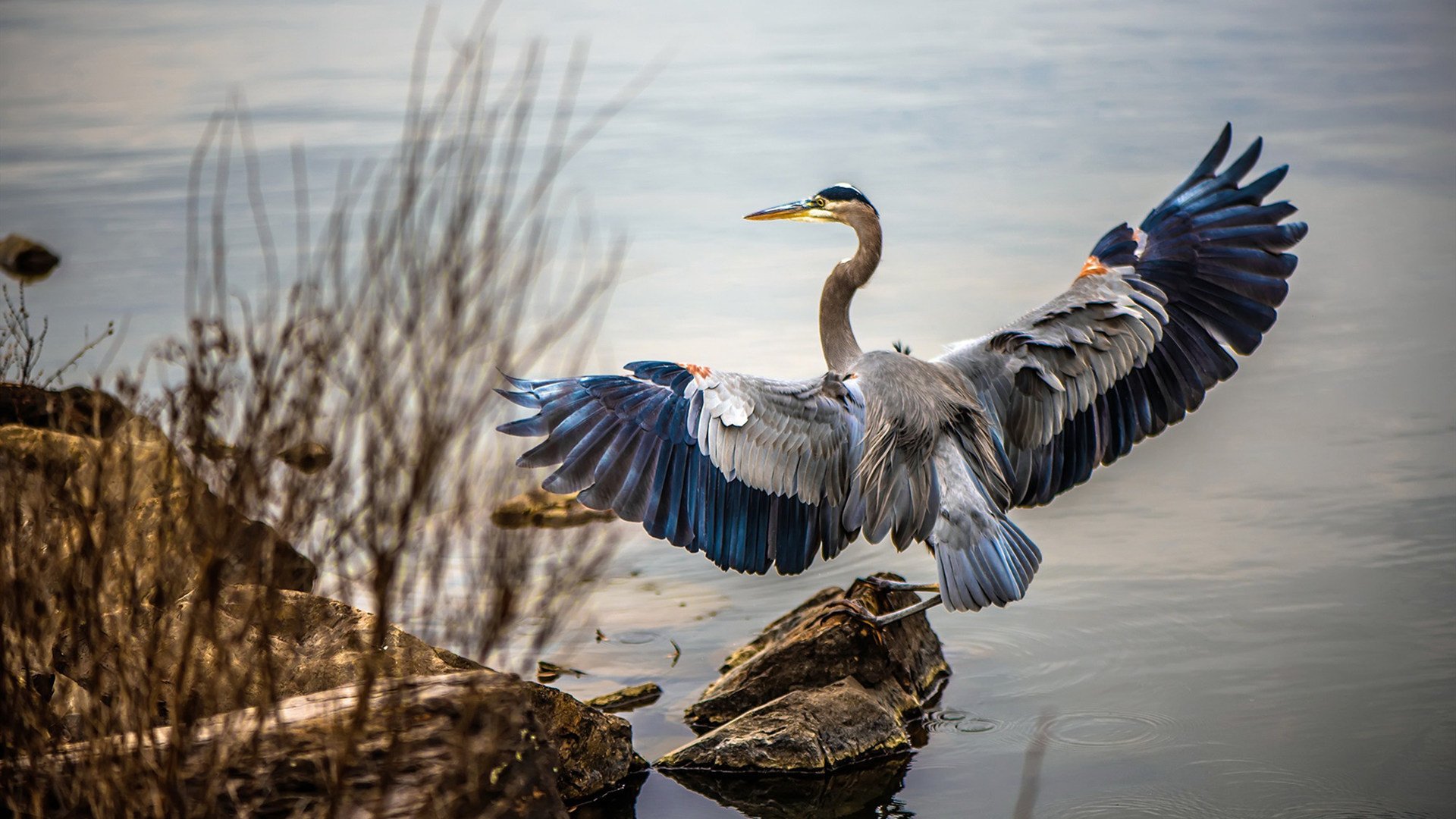 九游APP官网-篮网替补火力不足影响后半段比赛，篮网替补席跳舞