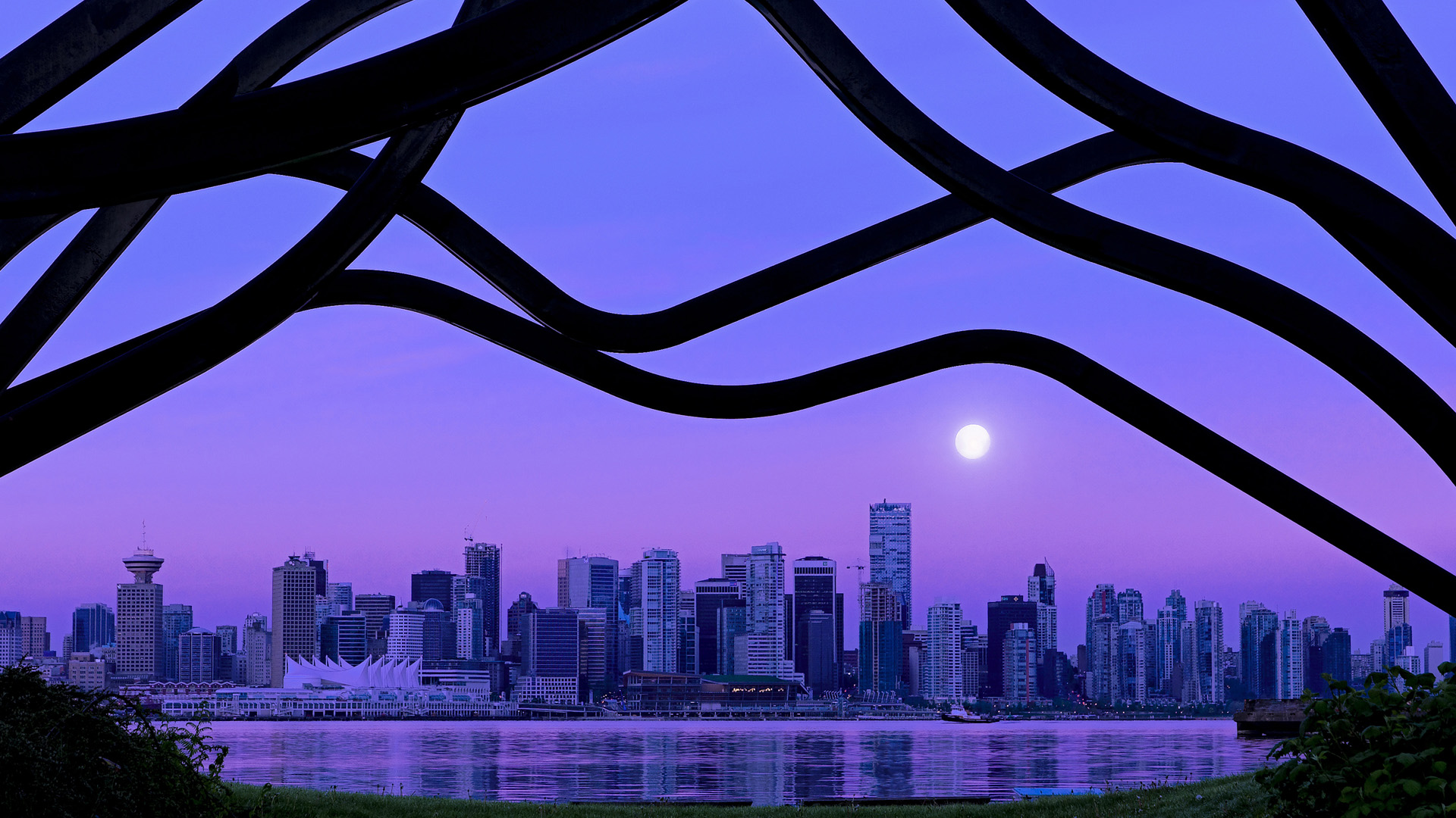 九游jiuyou-莱谢恩·卡萨斯技术细节解析引关注，萨莎·莱恩