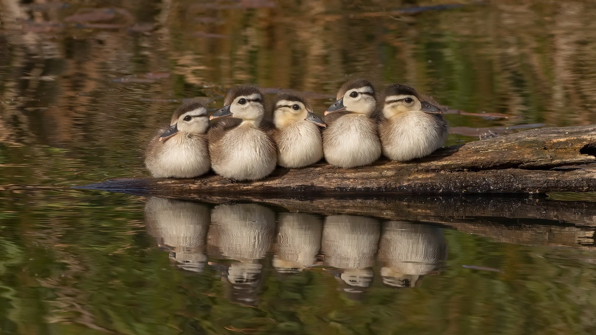 足球青训营发展现状，足球青训运营方案